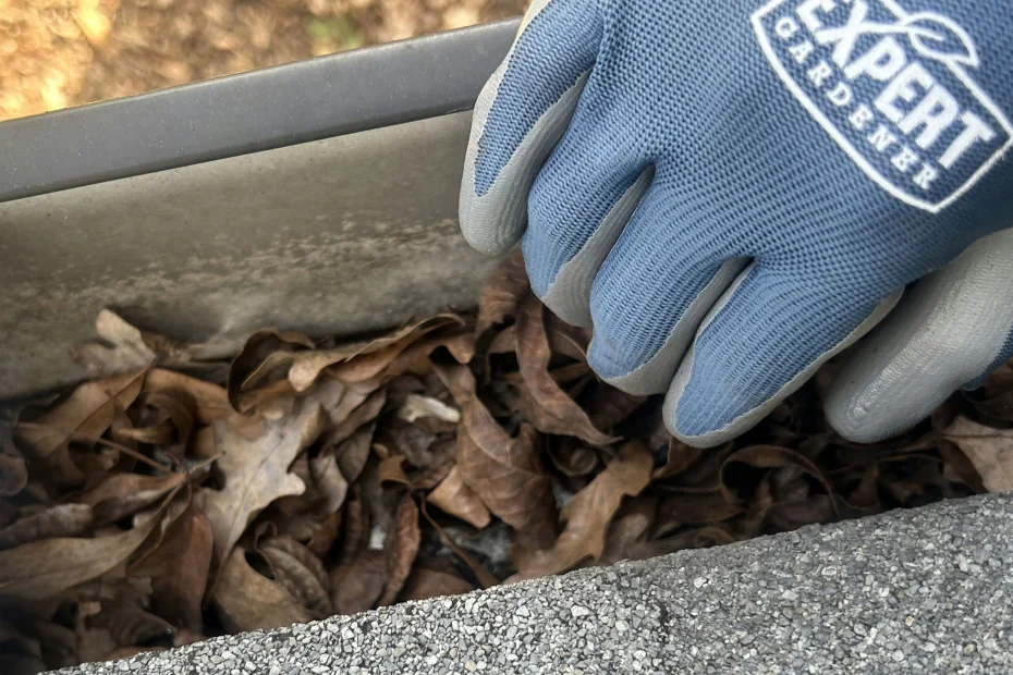 Gutter Cleaning New Albany IN